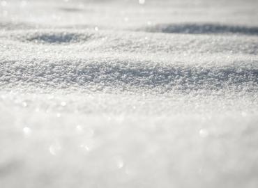 5473159winter-260817_1920.jpg