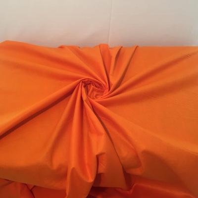 arancio-01.JPG